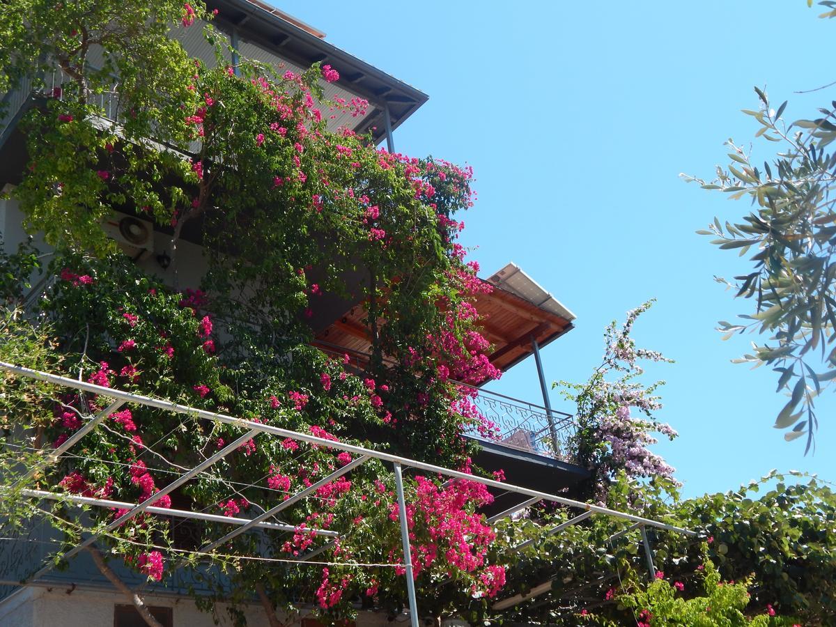 Sofia Apartments Sívota Zewnętrze zdjęcie